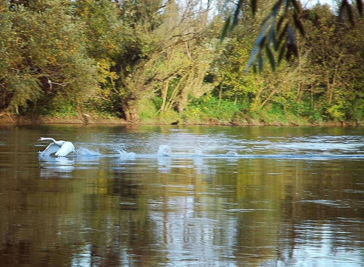 Zagreb, Kuca Za Odmor Swan River Holiday House Lasinja Exteriér fotografie
