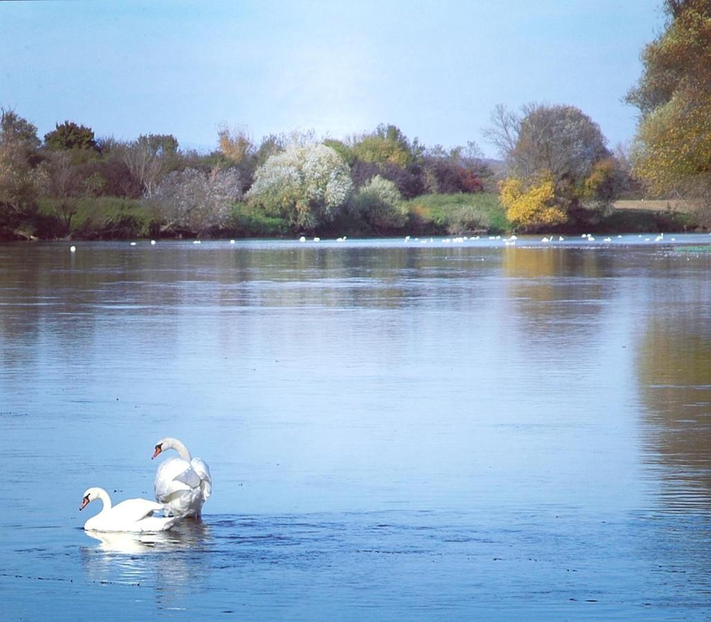Zagreb, Kuca Za Odmor Swan River Holiday House Lasinja Exteriér fotografie